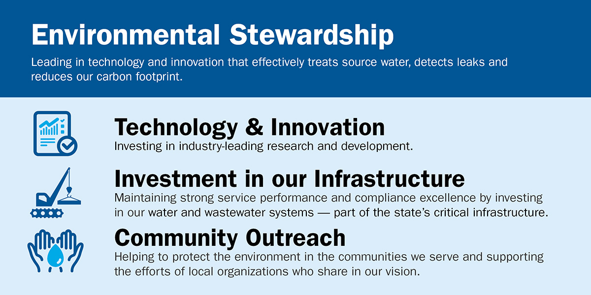 Environmental Stewardship Infographic